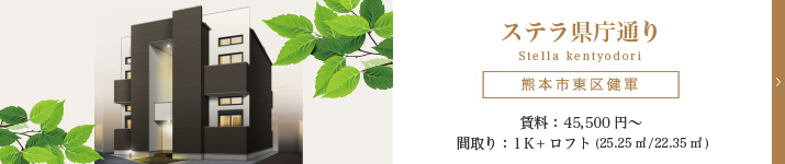 【新築物件】ステラ県庁通り